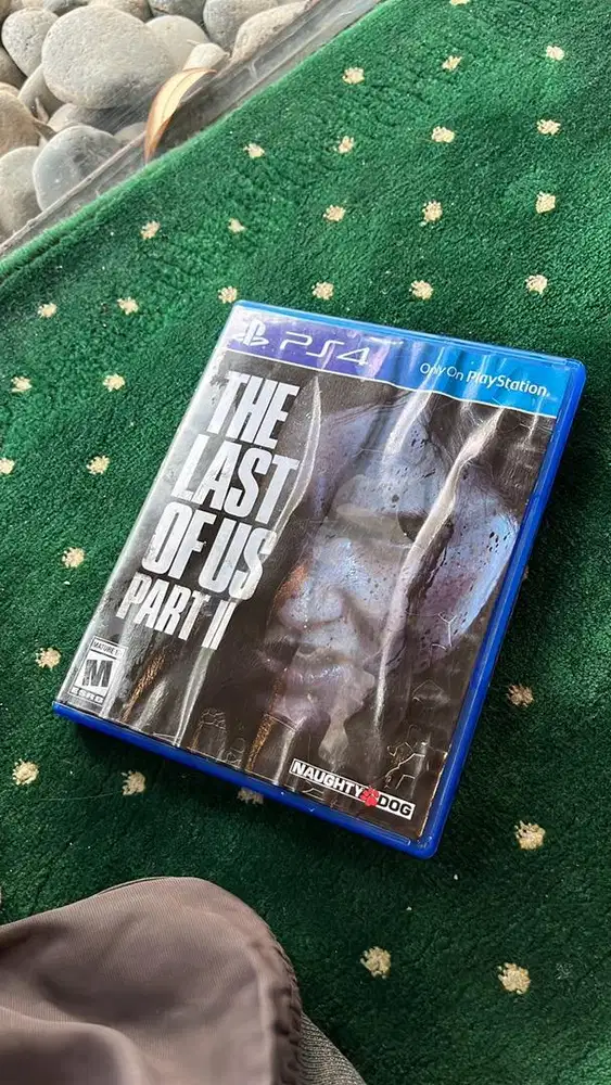 BD The Last Of Us Part 2