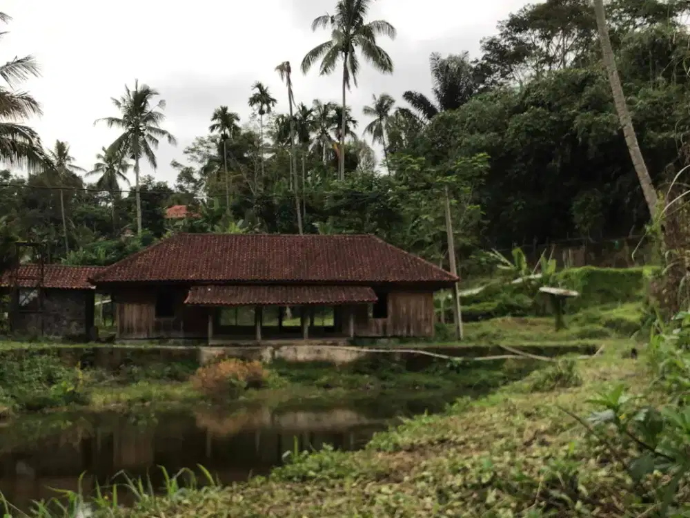 Jual Villa+Kolam Ikan,Lt 4000m Pinggir Jln Utama