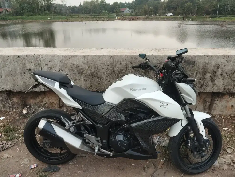 Z250 sehat pajak on