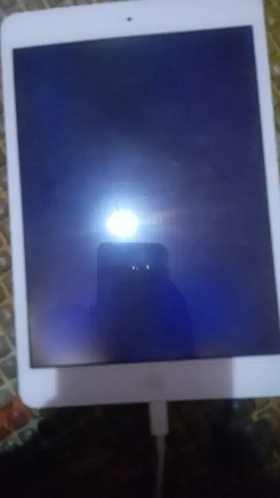 Ipond mini 2 merk Apple