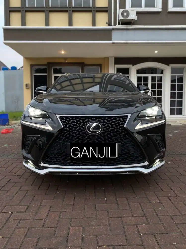 Lexus NX300 2019 Bensin