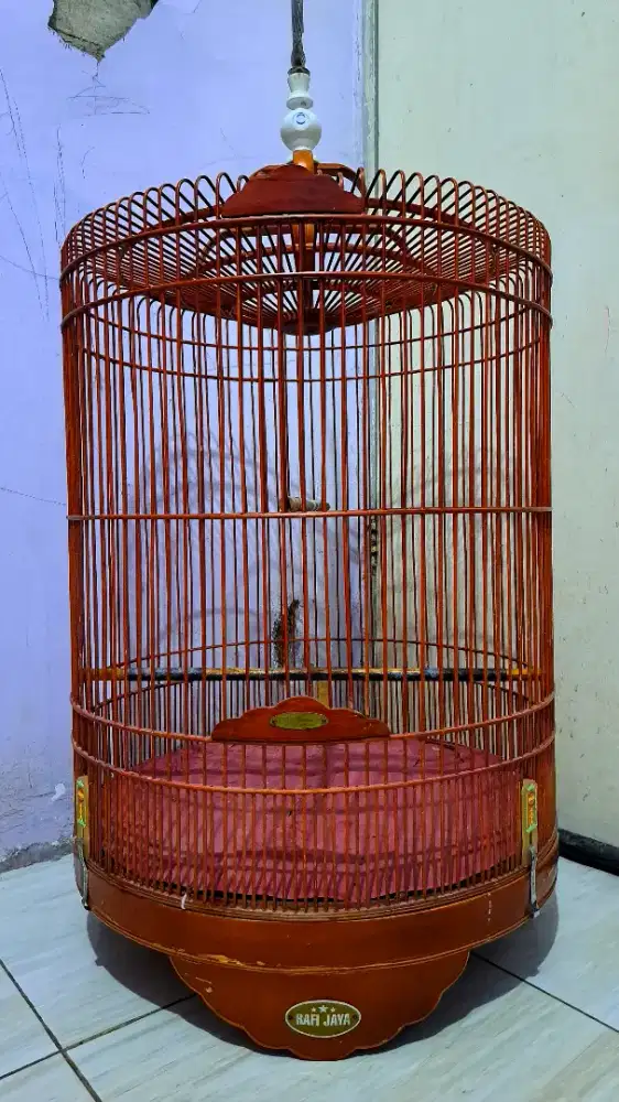 Kandang Murai NO 3