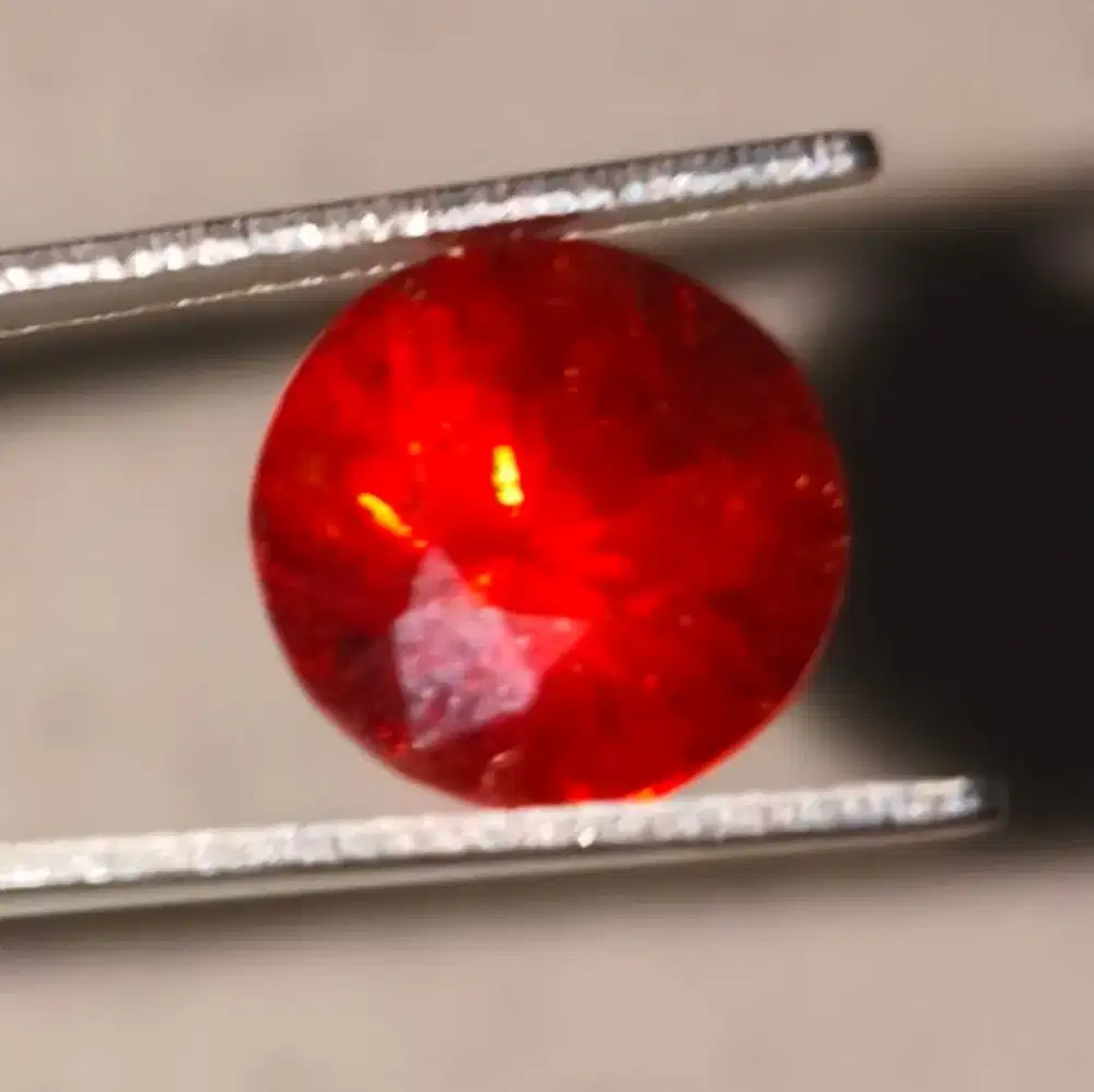 Mandarine Garnet NTD Lab Memo