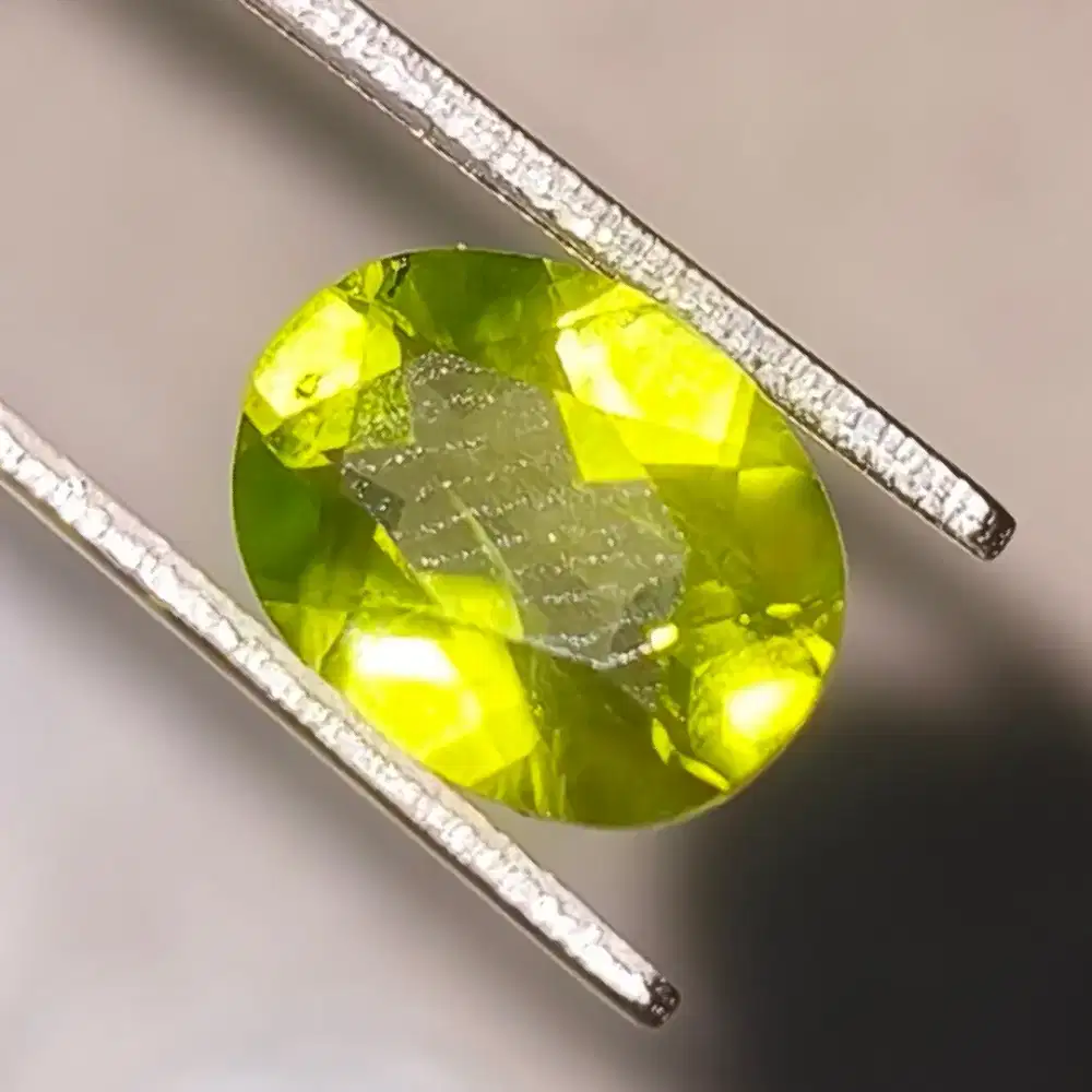 Peridot NTD Lab Memo