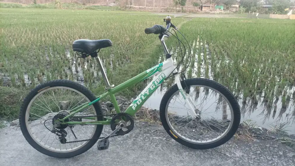 Polygon Coastal ukuran 22 siap gowes