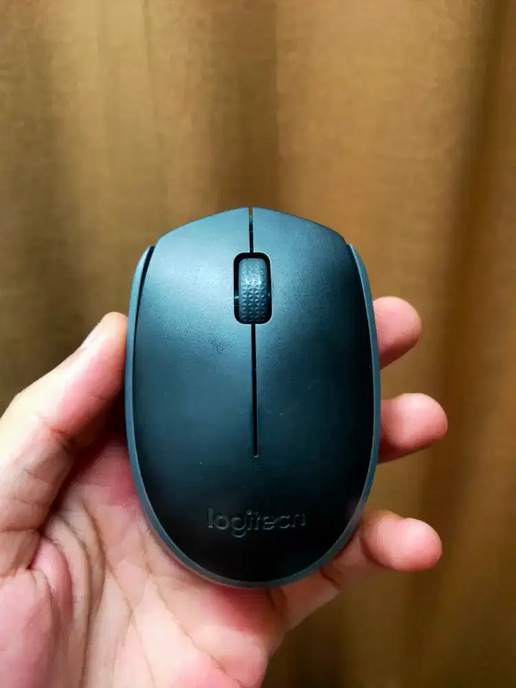 Mouse Logitech M170