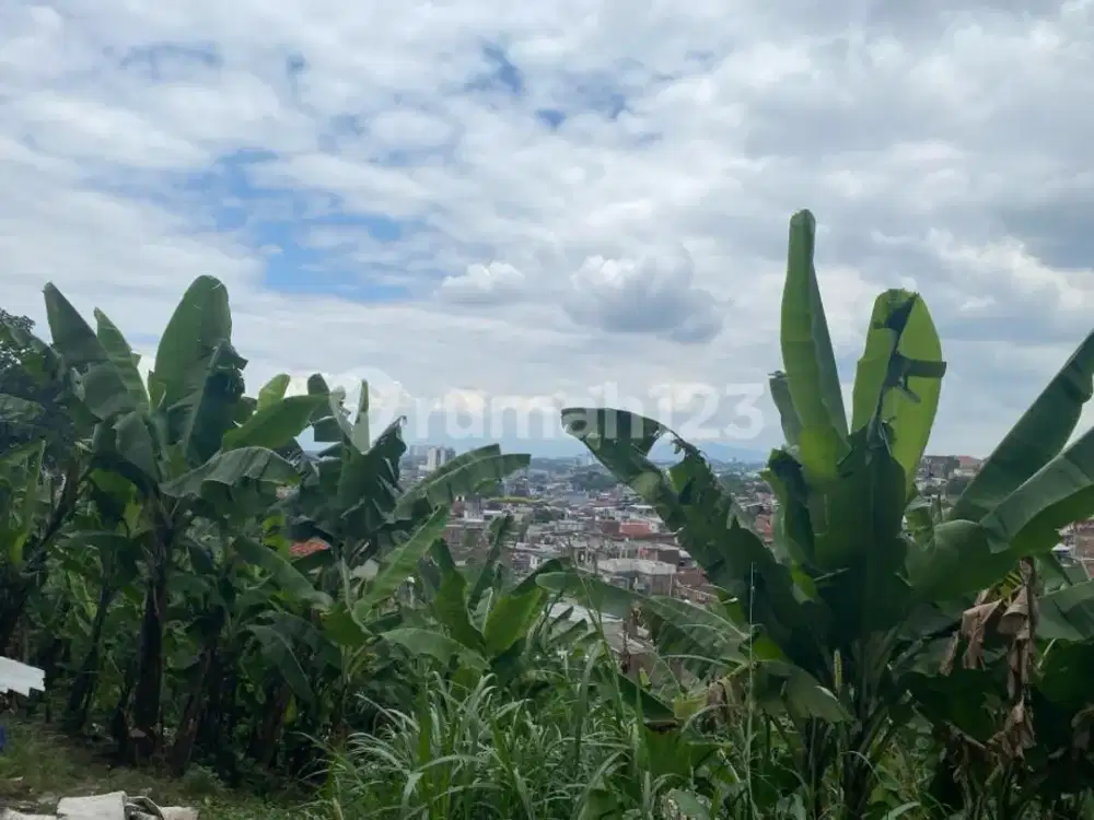 Dijual Tanah Di Pasir Honje Padasuka Cimenyan Bandung