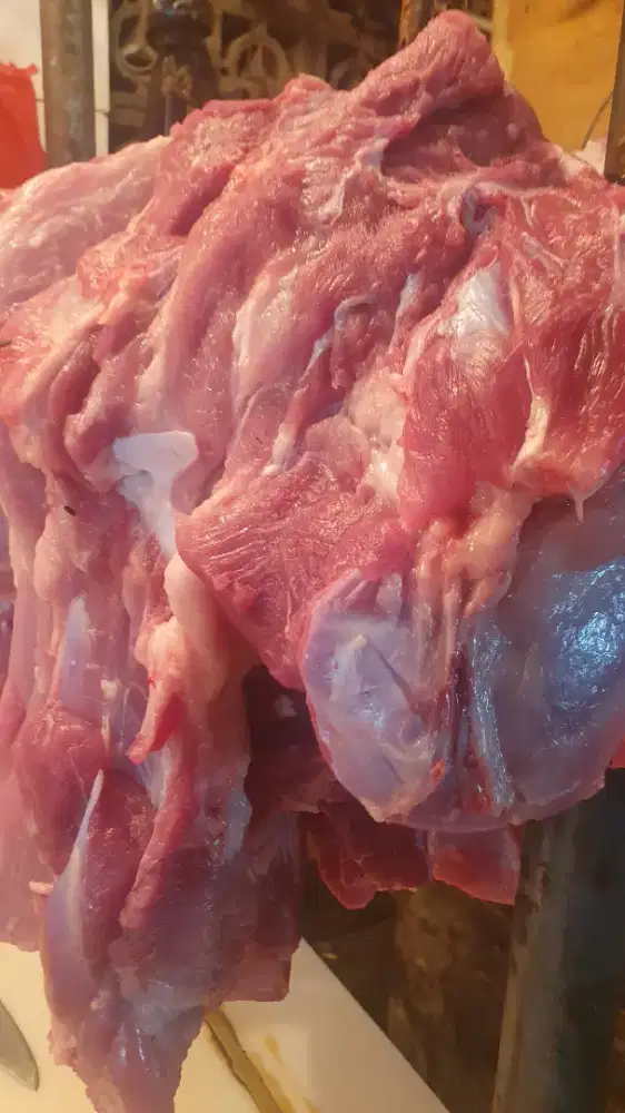 Dicari yang bisa buka tipeng babi