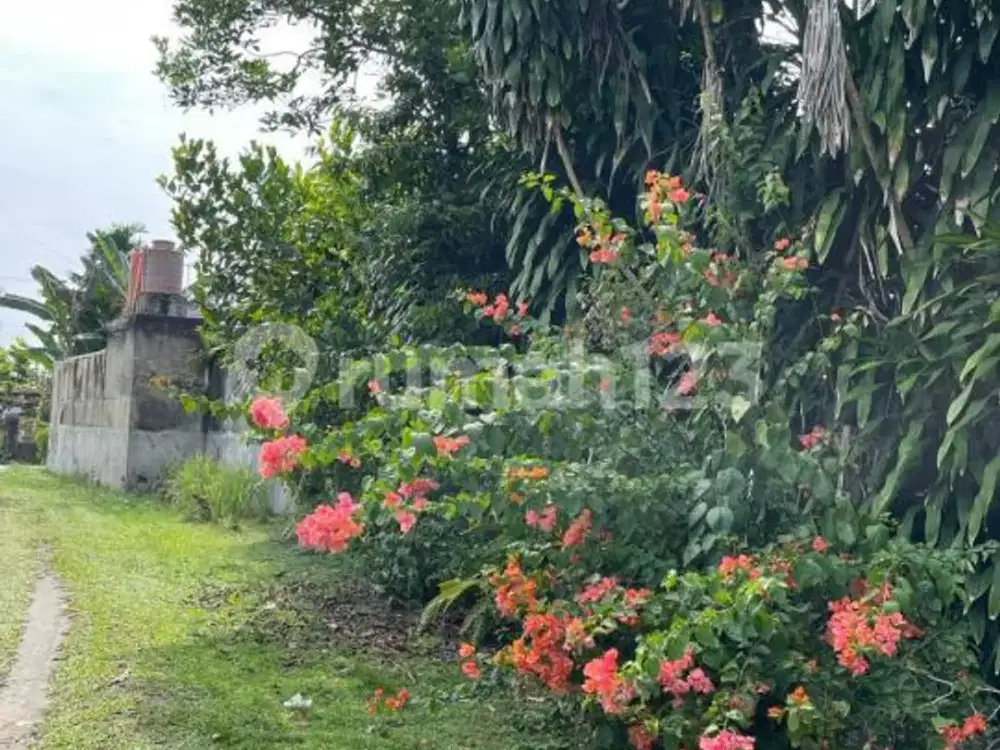 Dijual Tanah Jl. Harapan Raya Gg Ceria Pekanbaru
