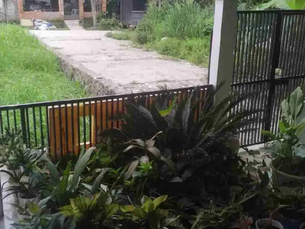 Rumah murah Griya Dramaga Asri Bogor