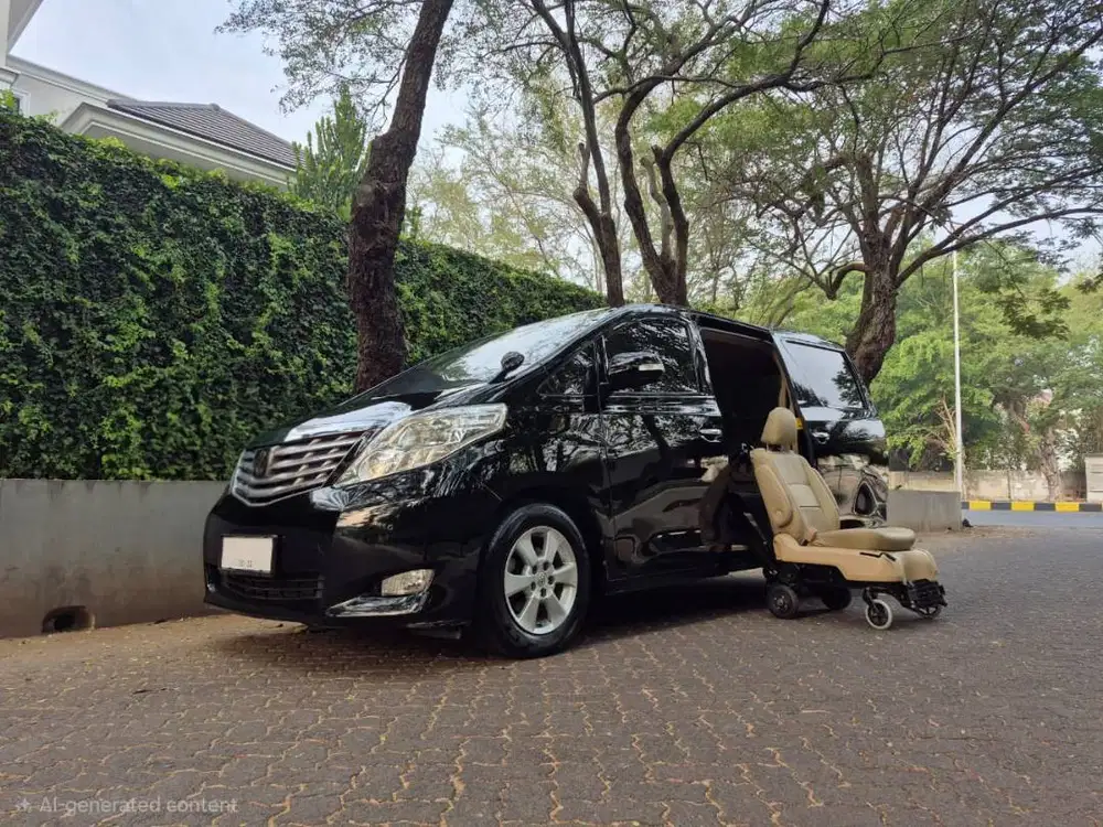 Welcab 2010 Toyota Alphard Wellcab Wel cab