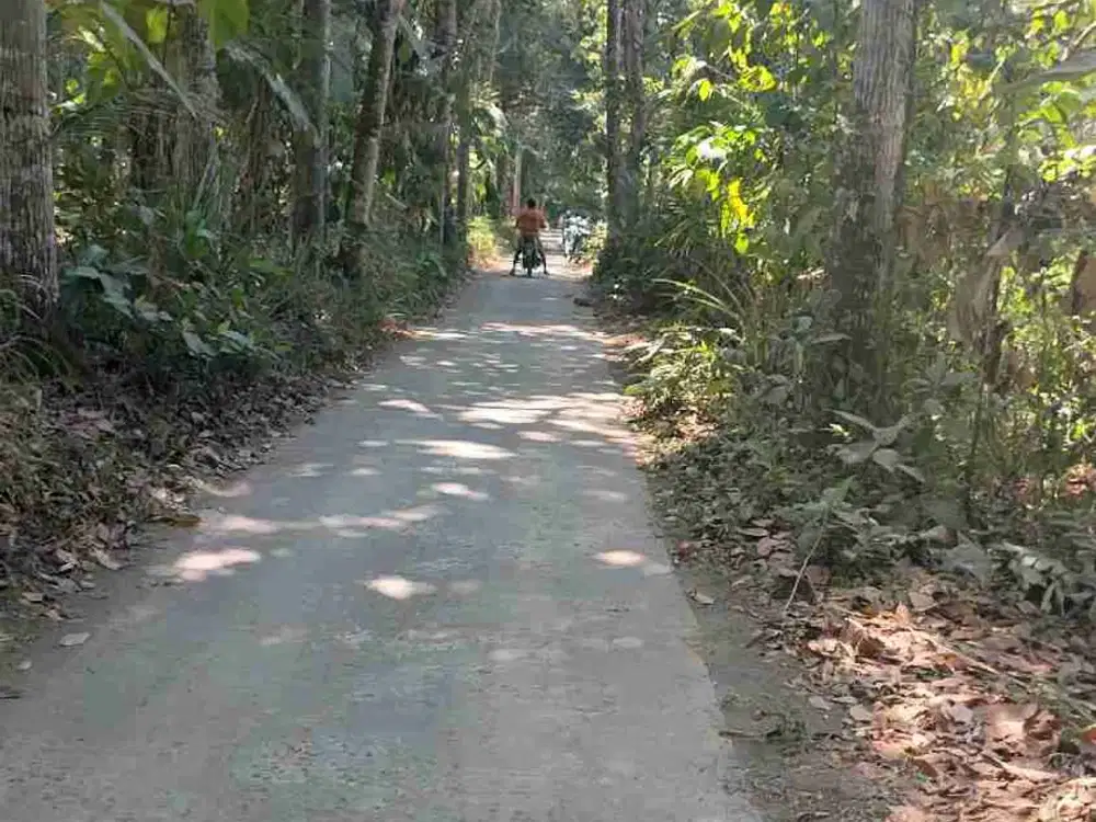 DIJUAL TANAH LUAS 3000M KEPUTRAN, KEMALANG, KLATEN