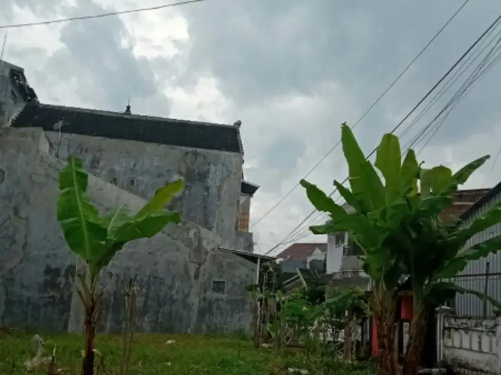 Tanah Hook Kapi Sraba Sawojajar Malang