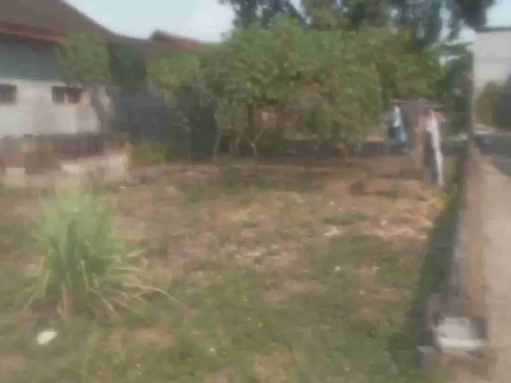 jual murah tanah siap bangun bagus untuk bangun kost san ,rumah hunian ,gudang dekat jln rayapropinsi ,& stasiun Jombang