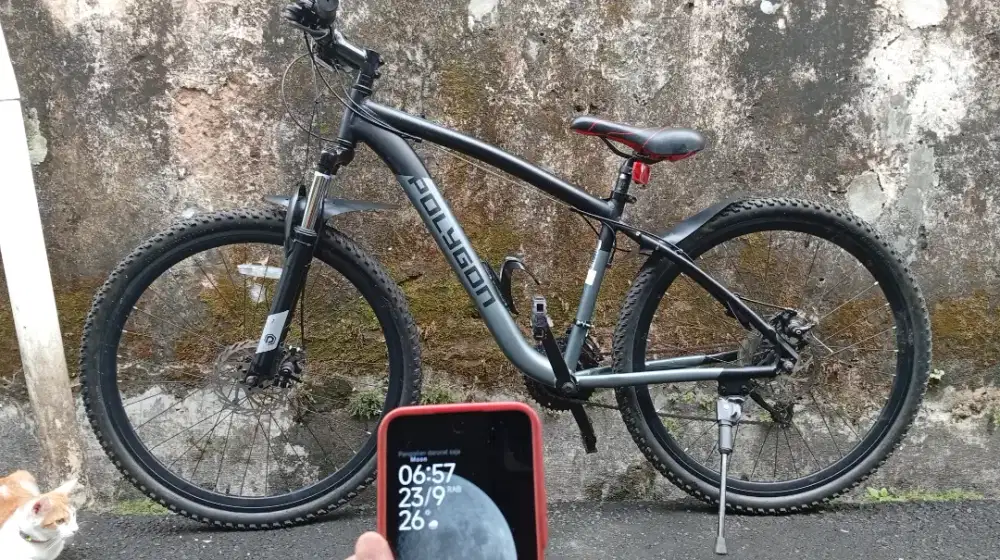 MTB XC POLYGON SPARK