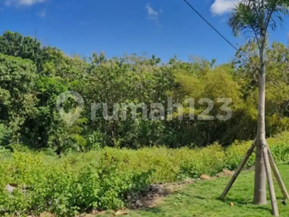 Prime Land Uluwatu 32 Are - Lokasi Ideal untuk Resort, Villa Luxury, dan Investasi Jangka Panjang