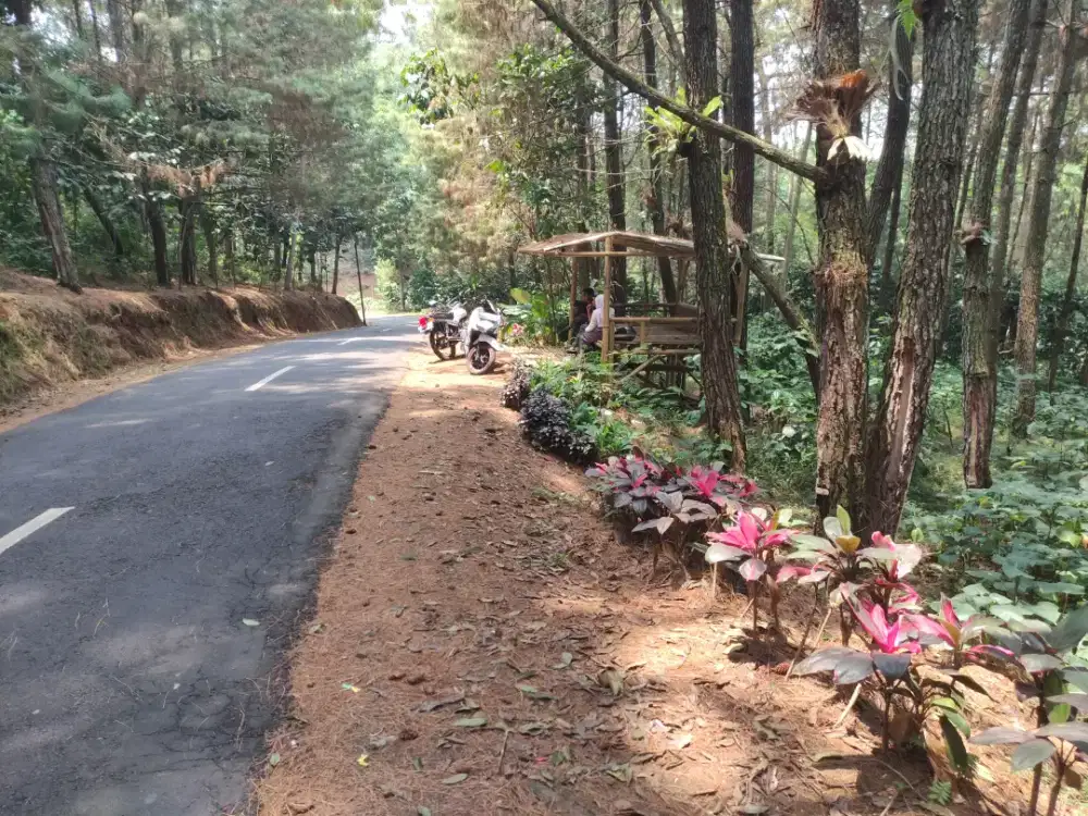 Tanah Kebun Kopi Produktif Pinggir Jalan - 10 Menit Wisata Kota Bunga