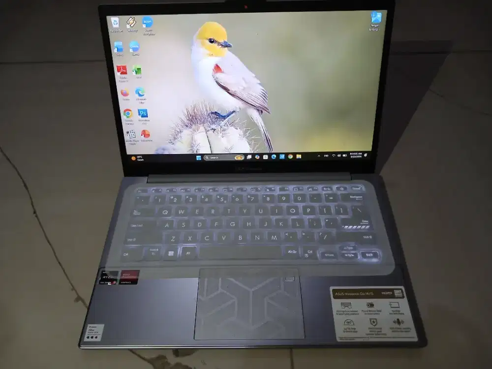 Asus vivobook Go14/15 Ram 16gb/512