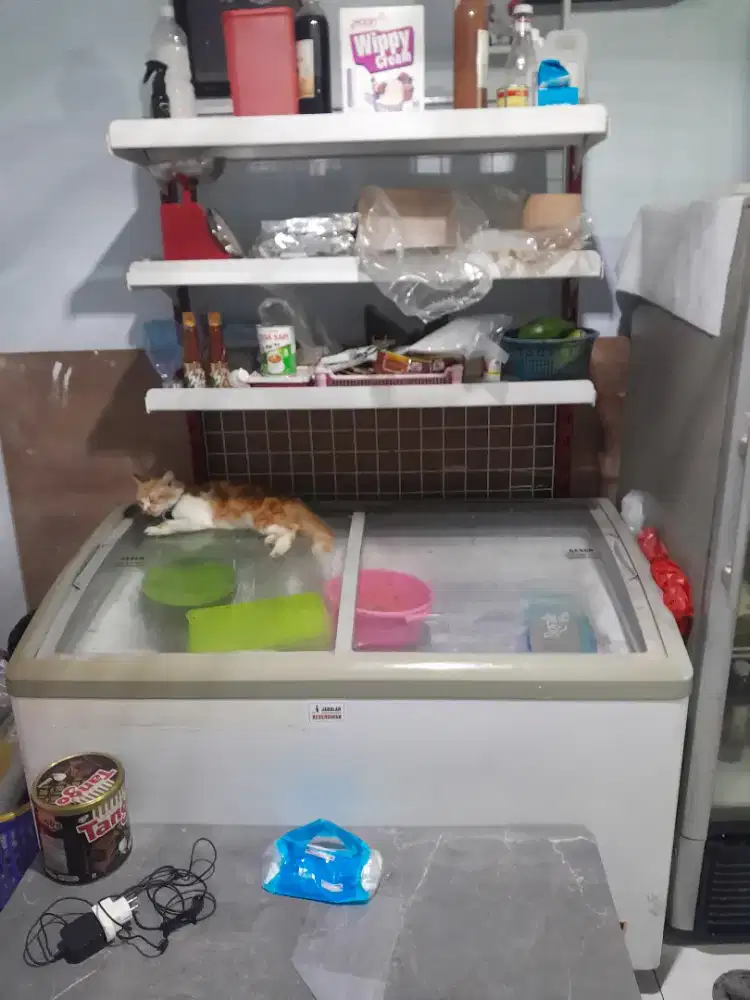 Freezer 330 + Rak