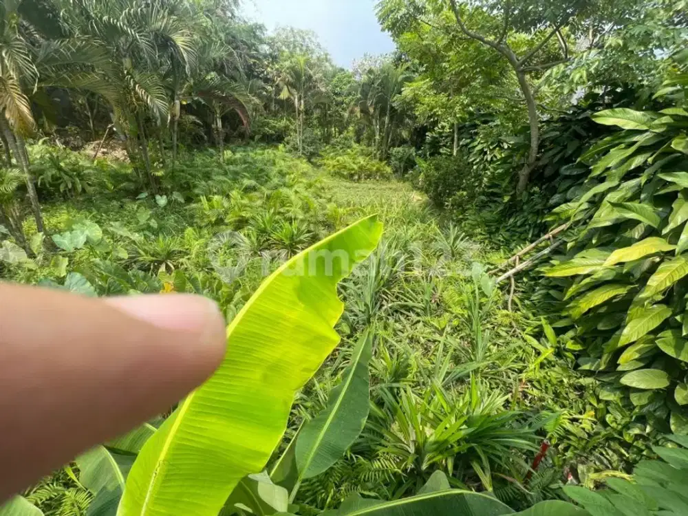 Dijual Kavling Di Meruya Jakbar Kavling Bri Cocok Buat Gudang