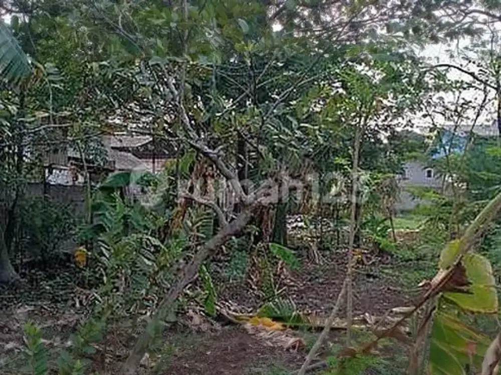 Tanah Lokasi Strategis dekat Mulia Villas Nusa Dua Bali