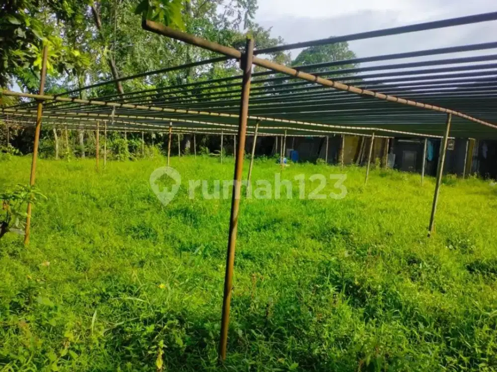 Tanah industri di cikupa, cocok buat gudang atau pabrik