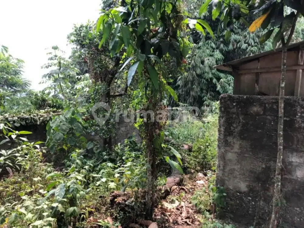 Tanah Di Balaraja Barat Dekat Pintu Tol Cocok Buat Gudang