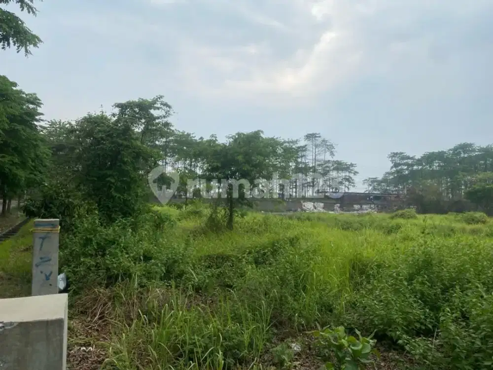 Lahan Industri di Kawasan Modern Cikande Tanah Padat Siap Bangun