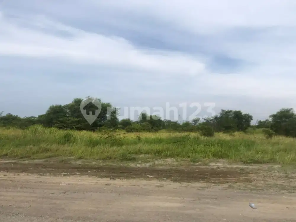 Lahan Kosong di Cilegon Luas 5Ha, 10Ha Dll Cocok Buat Stockpile
