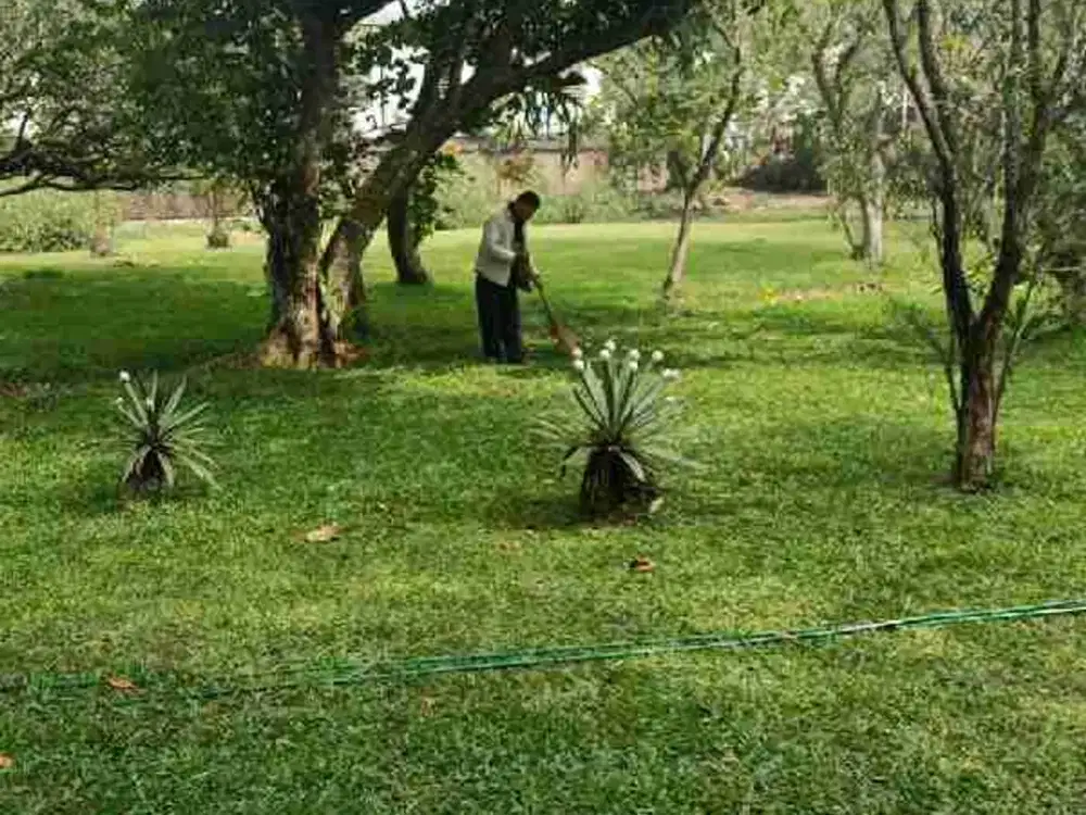 DIJUAL TANAH DI MAINROAD LEMBANG BANDUNG Ref.03945