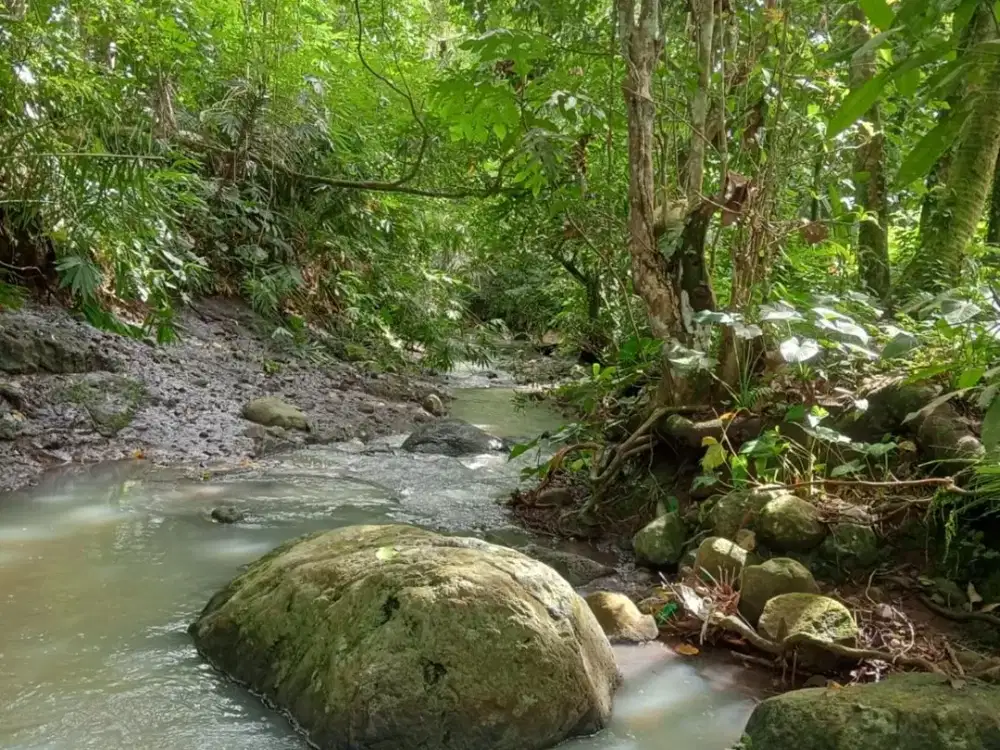 Dijual Lahan dengan View Hamparan Sawah yang Asri dan Sejuk
