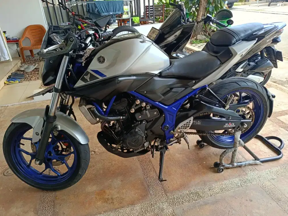 Yamaha MT 25 (2017)