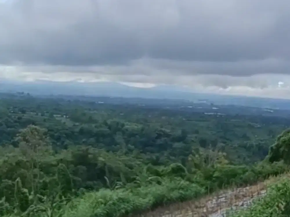 Dijual Tanah Lokasi di Baturiti Tabanan dengan View Gunung