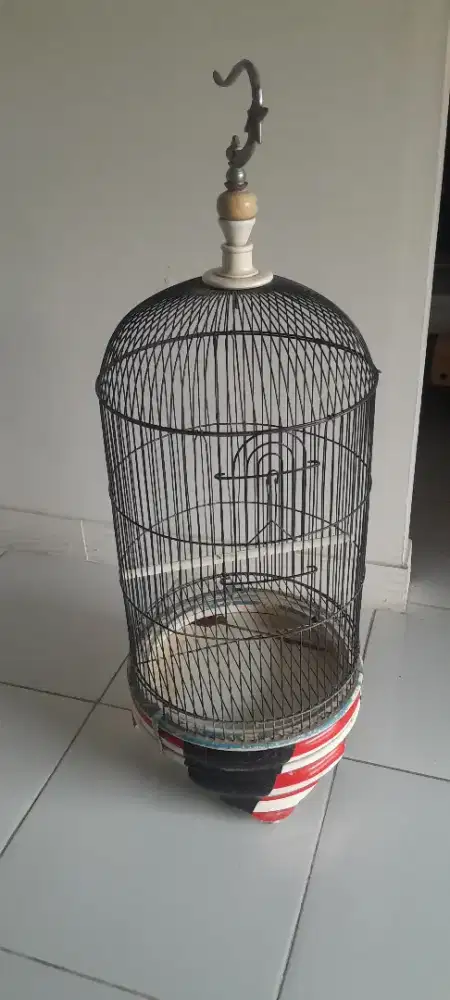 Barter Burung Masteran / Dimahar