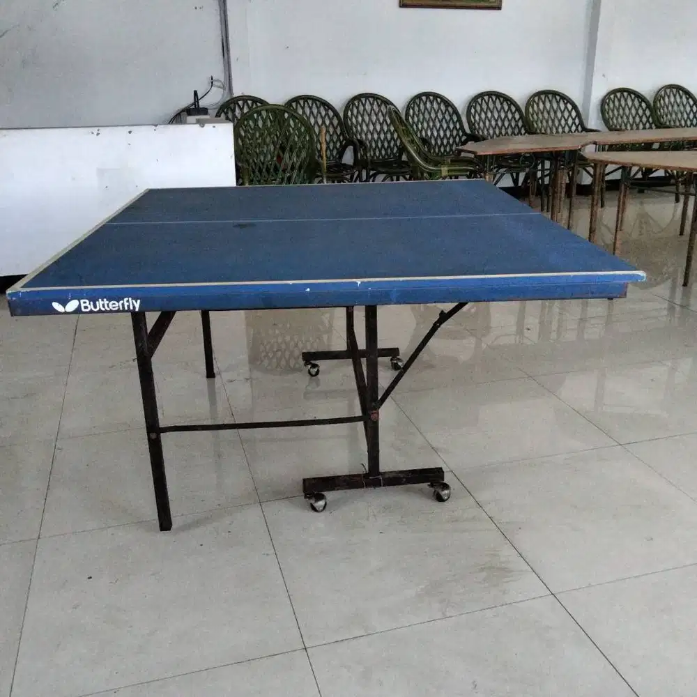 Meja Pingpong Butterfly