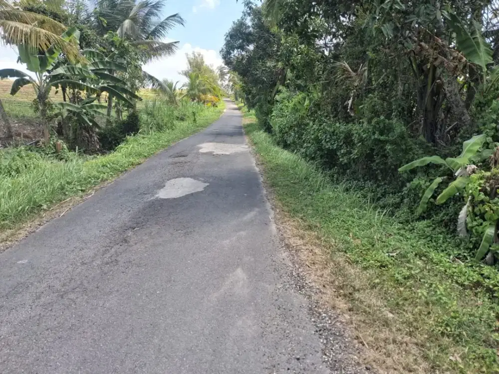 Dijual Tanah Lokasi Strategis di Lumbung dengan View Sawah Sunset