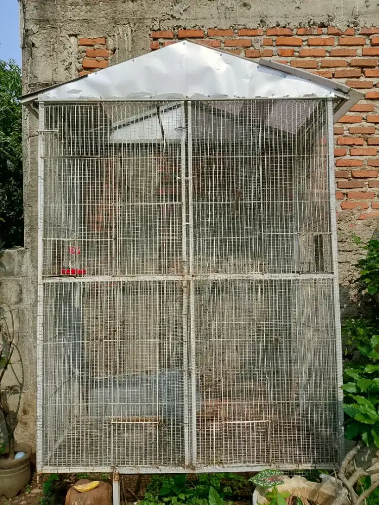 kandang ternak aviary 2 x 1,5 meter besi kuat rumah hewan