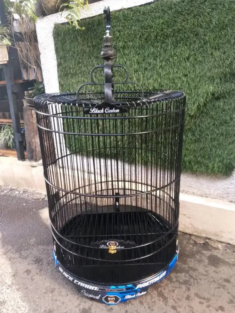 Sangkar rafi jaya nomor 2 airbrush