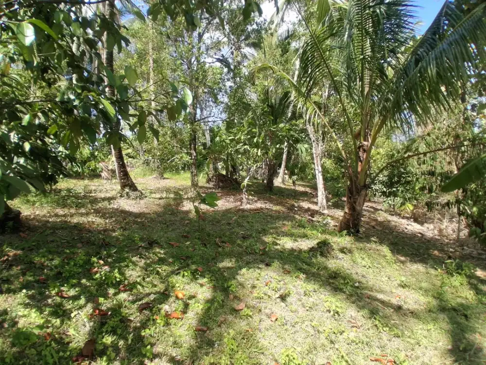 Dijual Tanah Berlokasi di Lumbung Lokasi Strategis View bukit dan laut