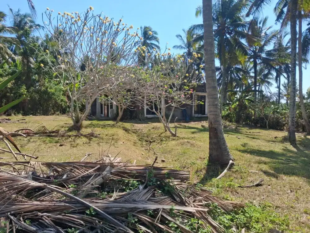 Dijual Tanah Dekat dengan Pantai Balian Lingkungan Exclusive