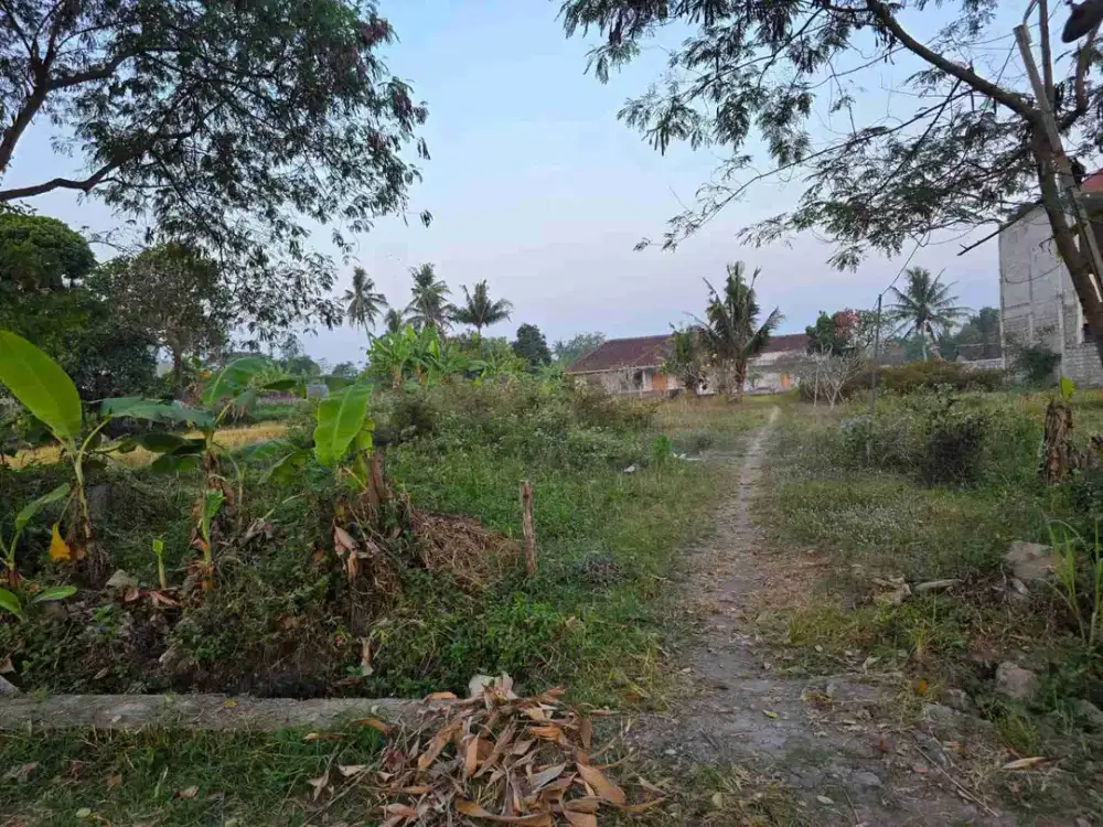 Dijual Cepat Tanah Pekarangan di Utara Kampus UII View Persawahan dan Merapi