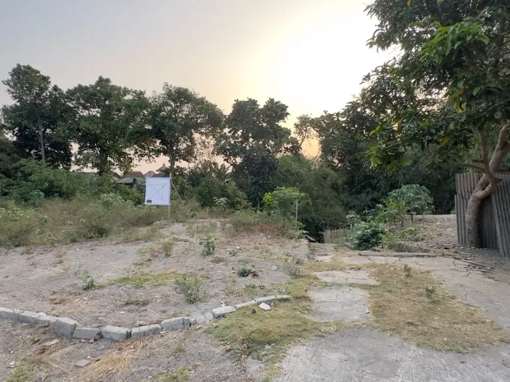 Tanah Jogja Area Kalasan Dekat Kelurahan Tirtomartani