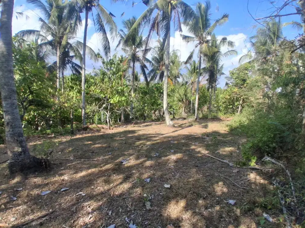 Dijual Kebun Produktif di Pantai Balian Hadap Barat Sunset View