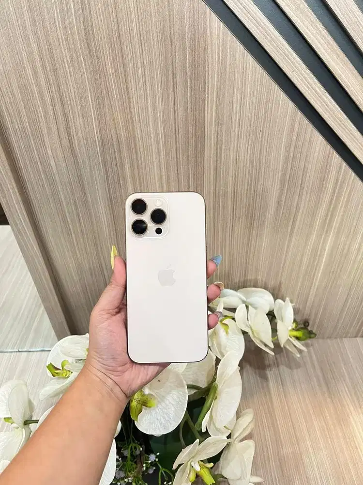 16 promax 256 gb second resmi