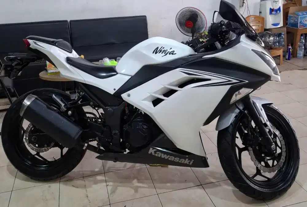 Kawasaki Ninja 250 f1