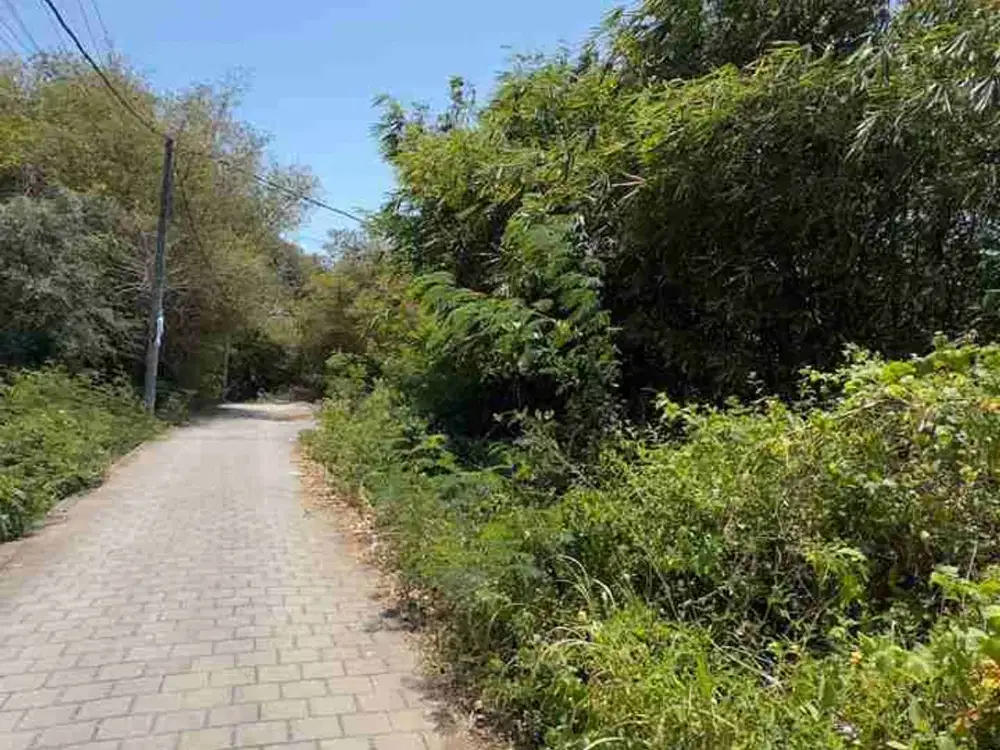 Dijual Tanah 592m2 bisa potong roti di jimbaran