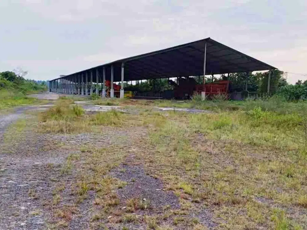 Dijual 1.5jt/m2 Tanah Memanjang Hingga Tepi Sungai Beserta Bangunan; Rumah Walet, Unit Gudang, dan Unit Dermaga di Jl. Raya Jungkat