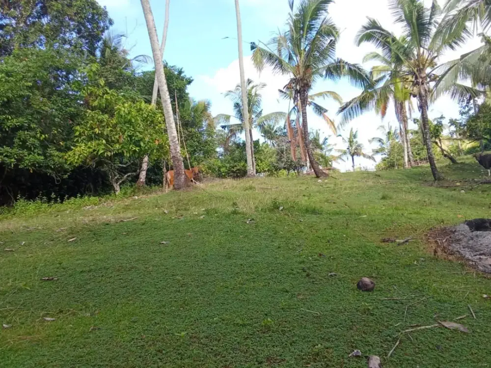 Dijual Tanah Los Sungai Lokasi di Lumbung dengan Suasana Tenang