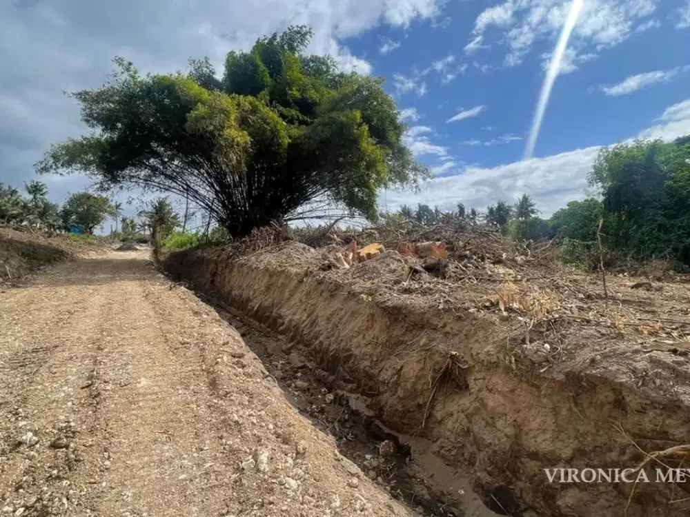 TANAH GLOBAL DIJUAL CEPAT – SABA, GIANYAR.