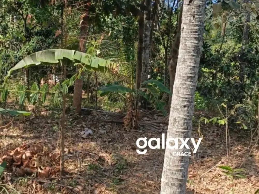 DIJUAL TANAH DI KUBUTAMBAHAN BULELENG